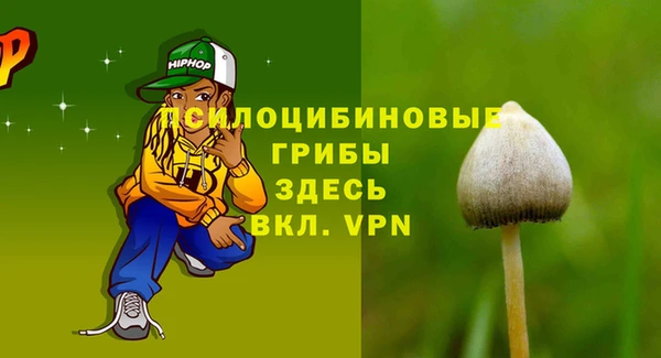соль курить ск Медвежьегорск